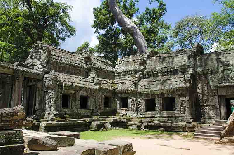 Camboya - Angkor 5 - templo de Ta Prohm
